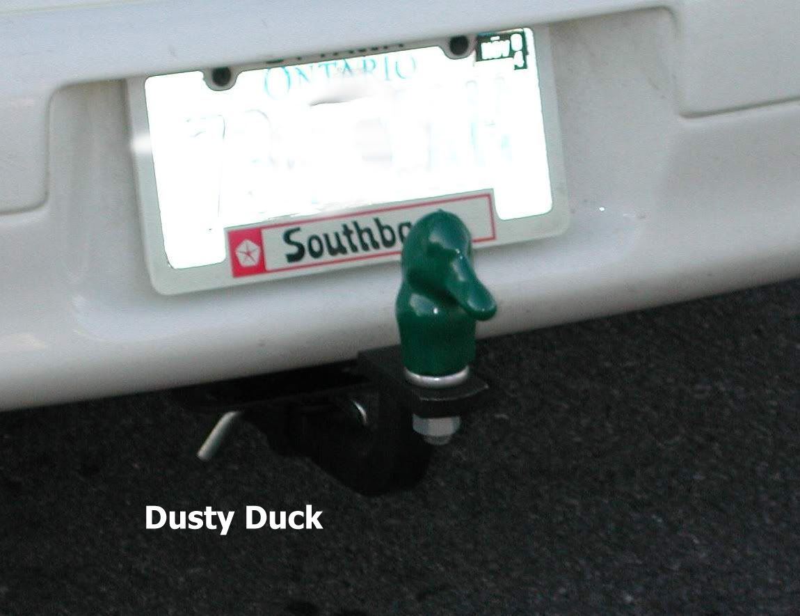 dustyduck1.jpg