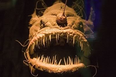 AnglerFish.jpg