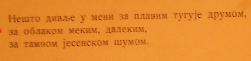 Slika