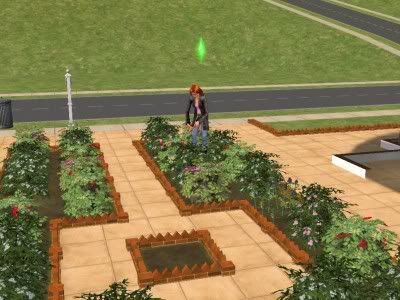 snapshot_6eaa55aa_0ec49baf.jpg