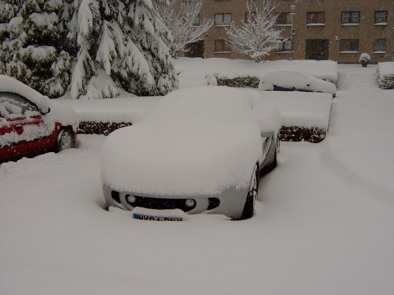 S3400022.jpg