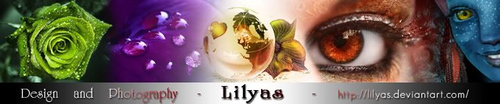 http://img.photobucket.com/albums/v494/lilyas/Website-Banner-Lilyas.jpg