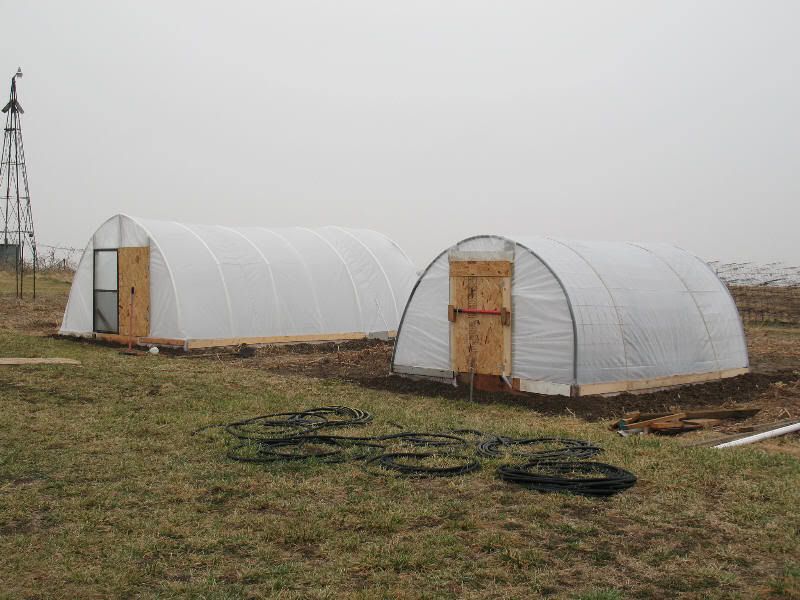 Build Greenhouse Cattle Panels