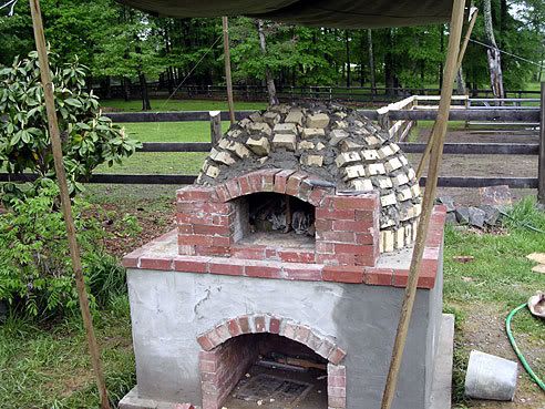 DSCN4461.jpg