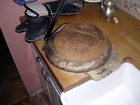 DSCN4628.jpg