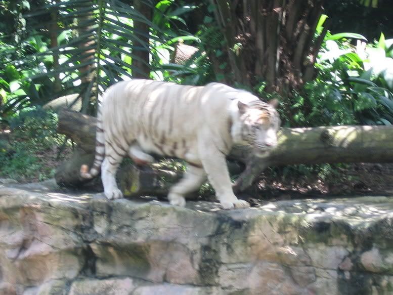 Image hosted by Photobucket.com