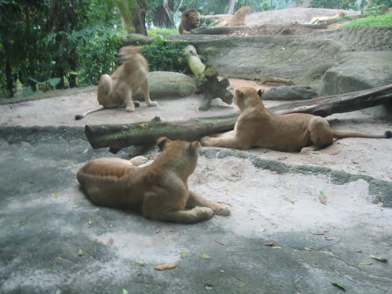 Image hosted by Photobucket.com