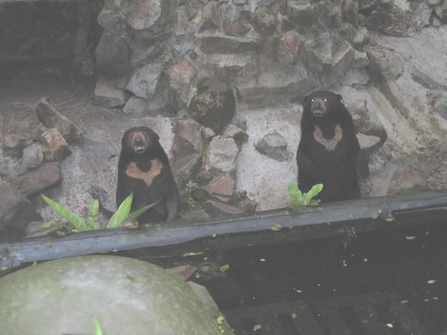 Image hosted by Photobucket.com