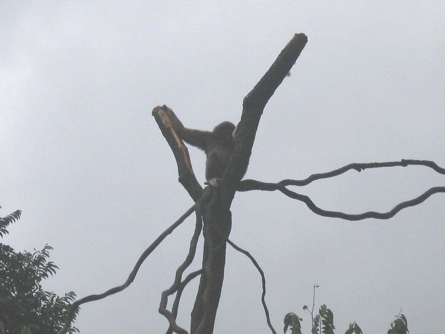 Image hosted by Photobucket.com