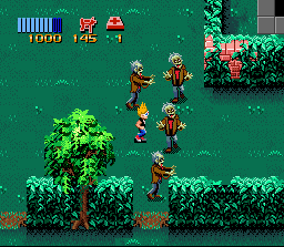 Sega Sega
