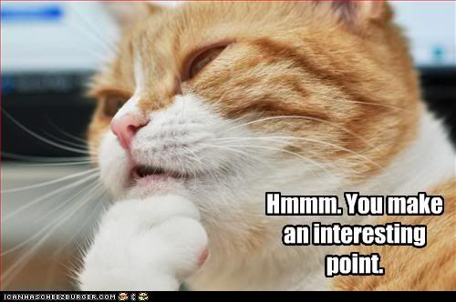 funny-pictures-cat-likes-your-point.jpg