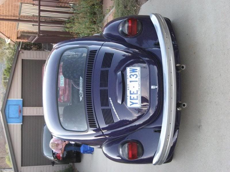 http://img.photobucket.com/albums/v495/sarzlollie/BasilFINISHED3.jpg http://img.photobucket.com/albums/v495/sarzlollie/BasilFINISHED3.jpg
