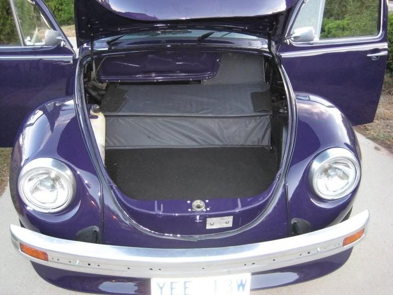 http://img.photobucket.com/albums/v495/sarzlollie/BasilFINISHED8.jpg http://img.photobucket.com/albums/v495/sarzlollie/BasilFINISHED8.jpg