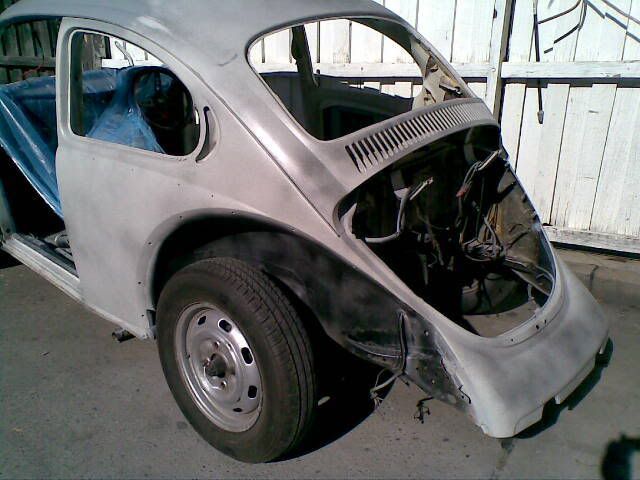 http://img.photobucket.com/albums/v495/sarzlollie/basilprimer.jpg http://img.photobucket.com/albums/v495/sarzlollie/basilprimer.jpg