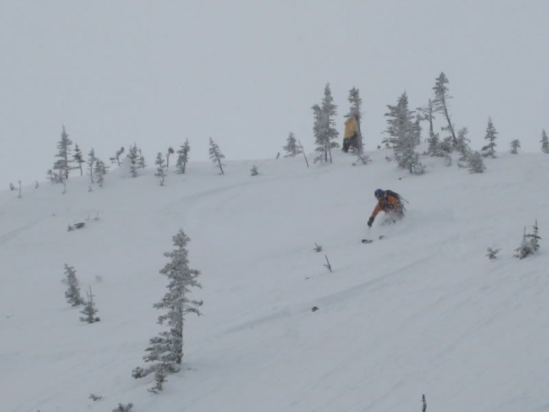 IMG_0342.jpg