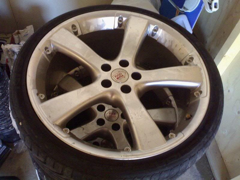 Felger.jpg