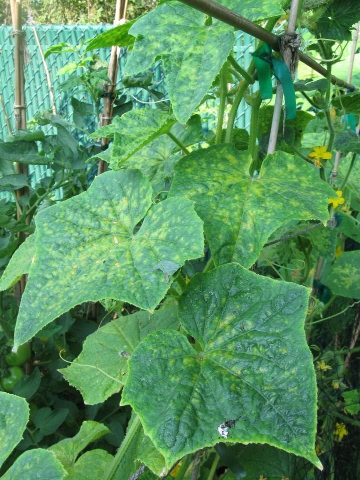  photo 6f079df2-fe39-4c4b-b059-22cba9469559.jpg