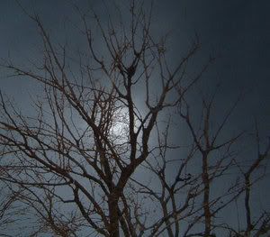 It's lonely nights without you. The moon while i was in Texas. Pictures, Images and Photos