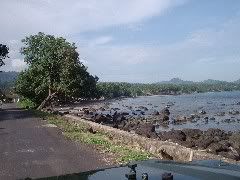 Pantai di sepanjang jalan ke Lampung.com
