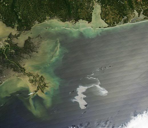 Gulf Oil Spill's Evolution