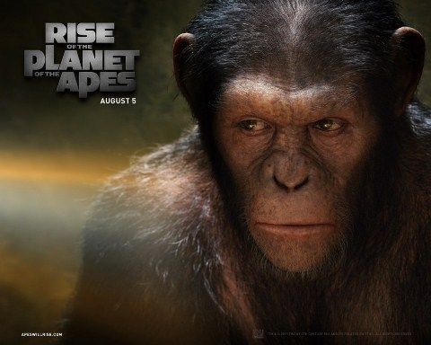 The Rise of The Planet of Apes