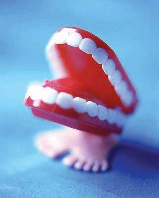 牙齿的模型