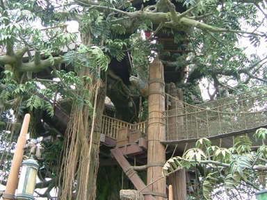 tarzan's tree house