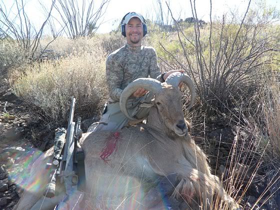 aoudad1.jpg