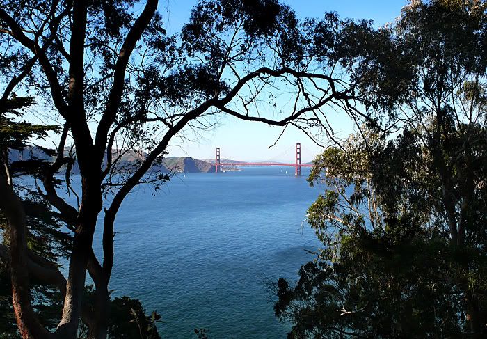 ggb.jpg