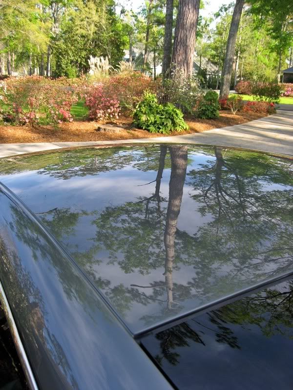 OverheadReflection.jpg