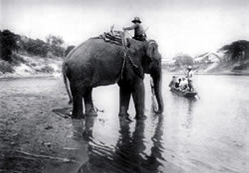 ElephantontheMenamriver-200.jpg