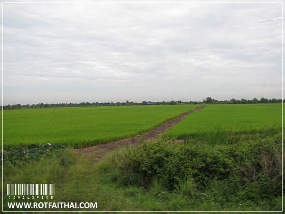 Click on the image for full size