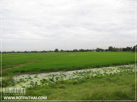 Click on the image for full size