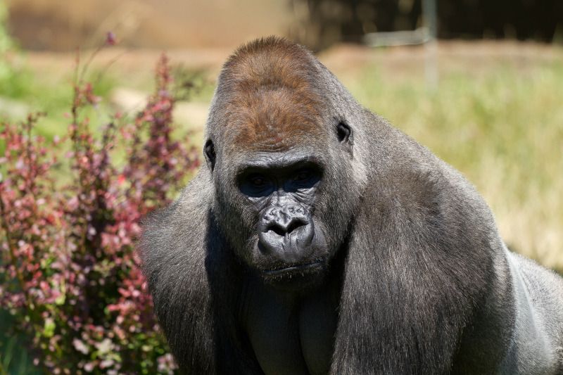 IMAGE: http://img.photobucket.com/albums/v499/Bluemax43/IMG_1227.jpg