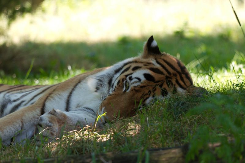 IMAGE: http://img.photobucket.com/albums/v499/Bluemax43/IMG_1254.jpg