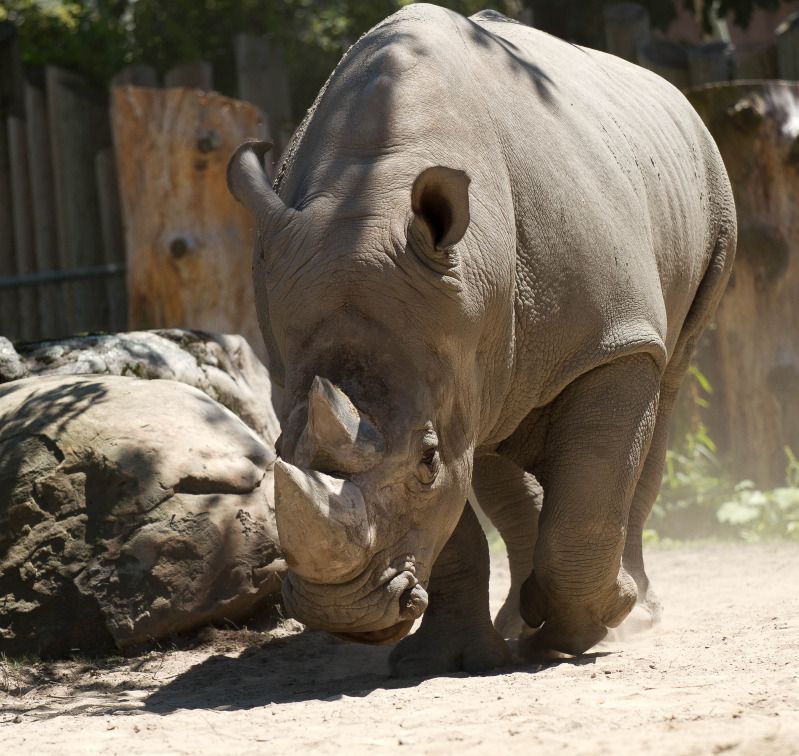 IMAGE: http://img.photobucket.com/albums/v499/Bluemax43/IMG_1267.jpg