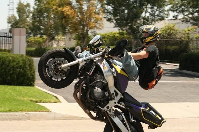 IMAGE: http://img.photobucket.com/albums/v499/MayhemFerNie/2rsz.jpg