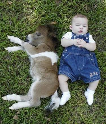 donkey_and_baby.jpg