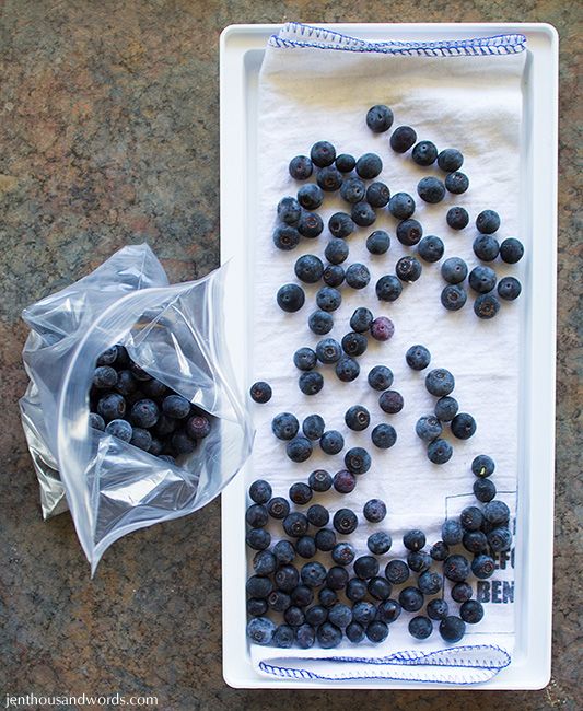  photo blueberries12_zps73070b7e.jpg