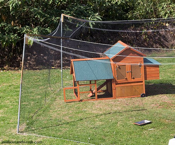 photo adaptedchickenrun_zpsdc31f521.jpg