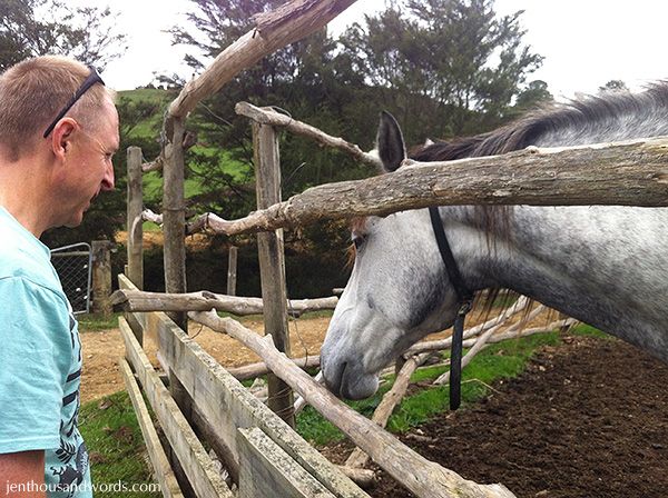  photo horse riding and daisy 03_zpskjfjgndx.jpg