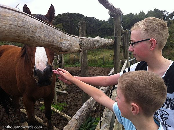  photo horse riding and daisy 04_zpsua8nfung.jpg