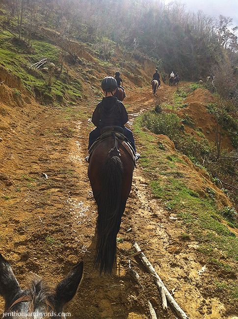  photo horse riding and daisy 11_zps8fxkfmos.jpg