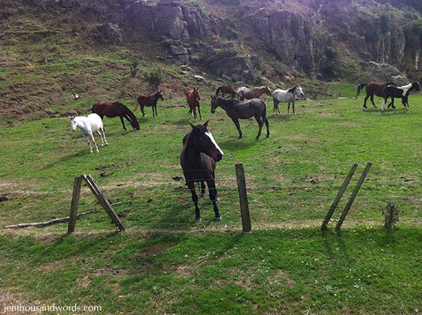  photo horse riding and daisy 14_zpsitdnxjka.jpg