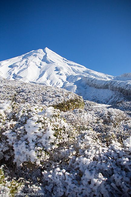  photo mt Taranaki trip 31_zpsx8moswhv.jpg