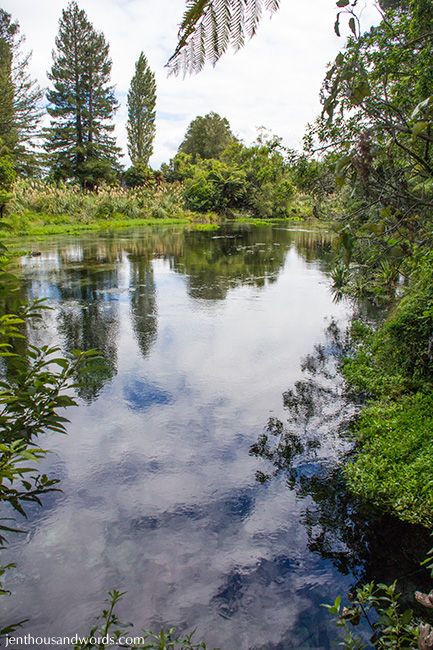  photo weekendinrotorua18_zpsadc73346.jpg