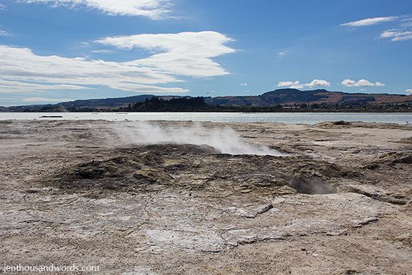  photo weekendinrotorua56_zps83136de1.jpg