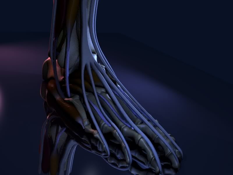 http://img.photobucket.com/albums/v499/mayaman2/blenderfoot.jpg