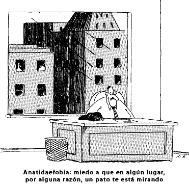 Imagen subida