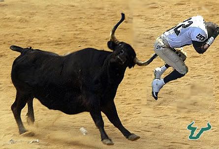 [Image: bullfighting.jpg]